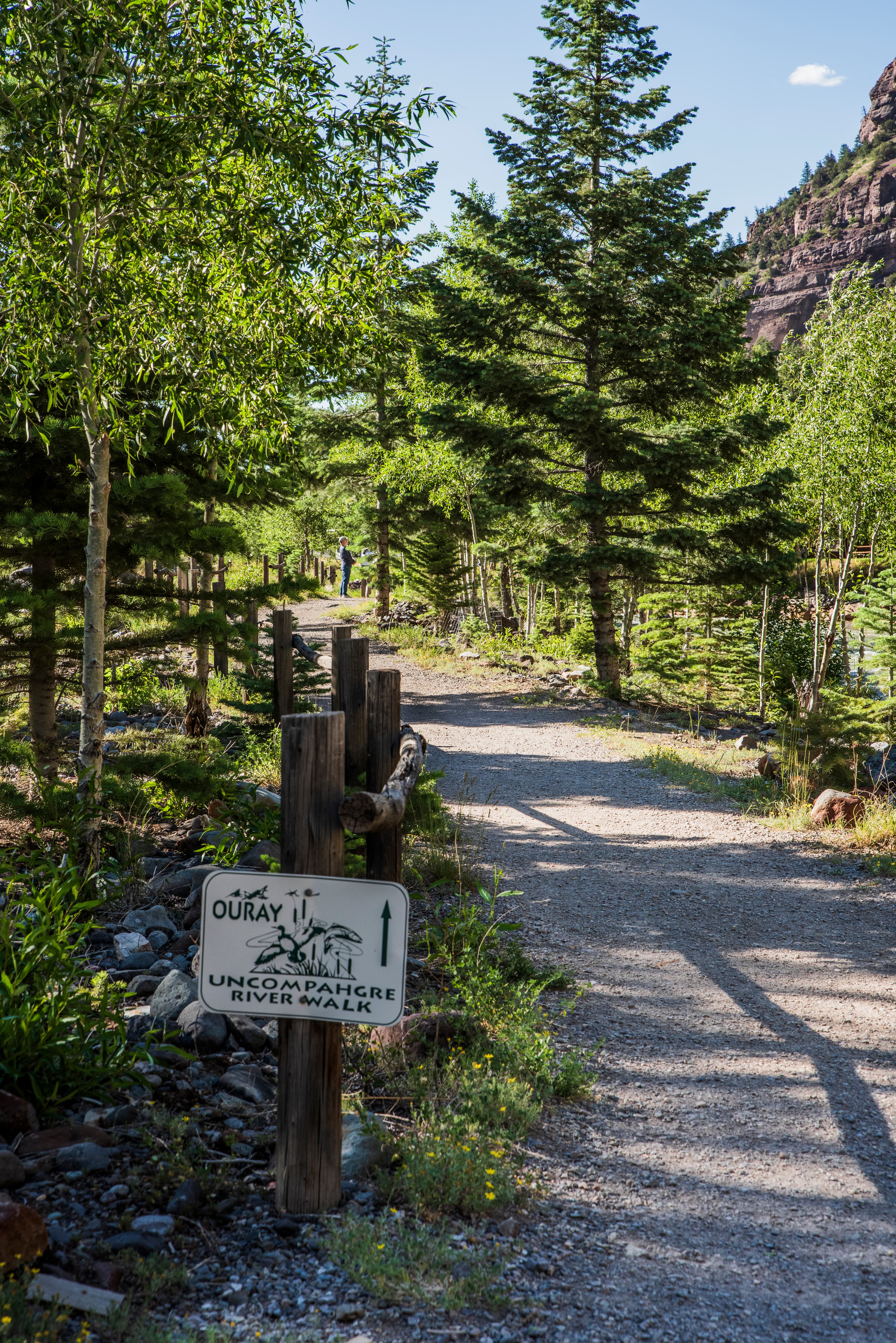 A gravel path bordered by trees leads to a sign for the Uncompahgre River Walk in Ouray.