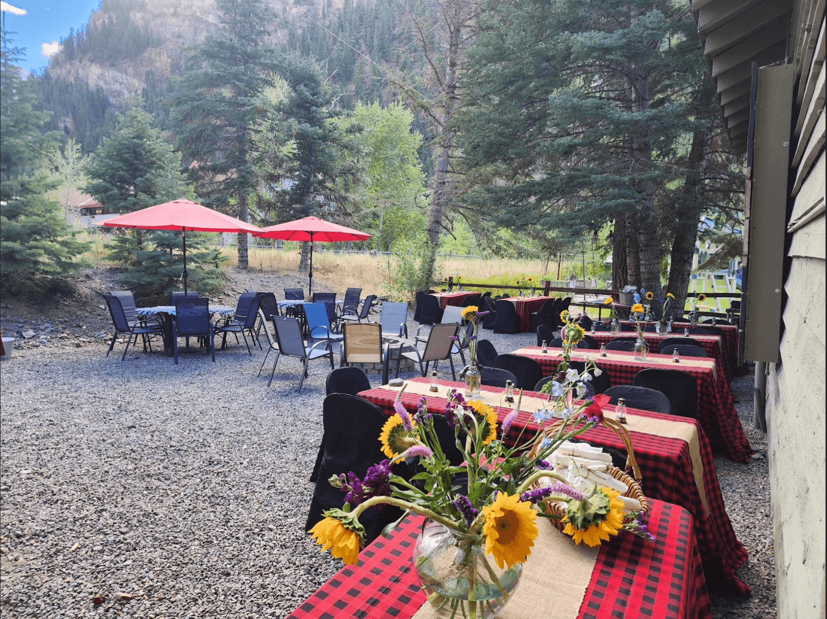 Outdoor dining area with tables featuring checkered cloths and flower arrangements, set among trees and umbrellas.