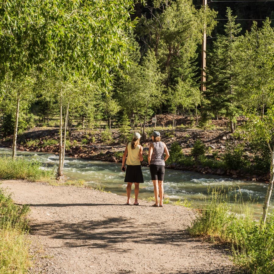 Two individuals walk hand-in-hand along a riverbank surrounded by trees.