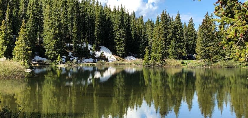 A serene lake reflects towering evergreen trees under a blue sky.