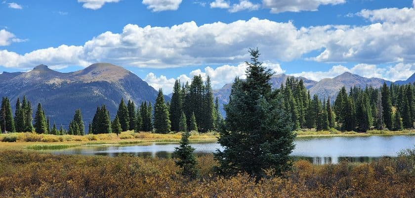 Little Molas lake surrounded by evergreen trees, golden grasses, distant peaks, and a bright blue sky with fluffy clouds.